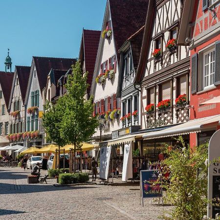 Cheerful Apartment Near City Centre Of Haslach Haslach im Kinzigtal Exterior foto