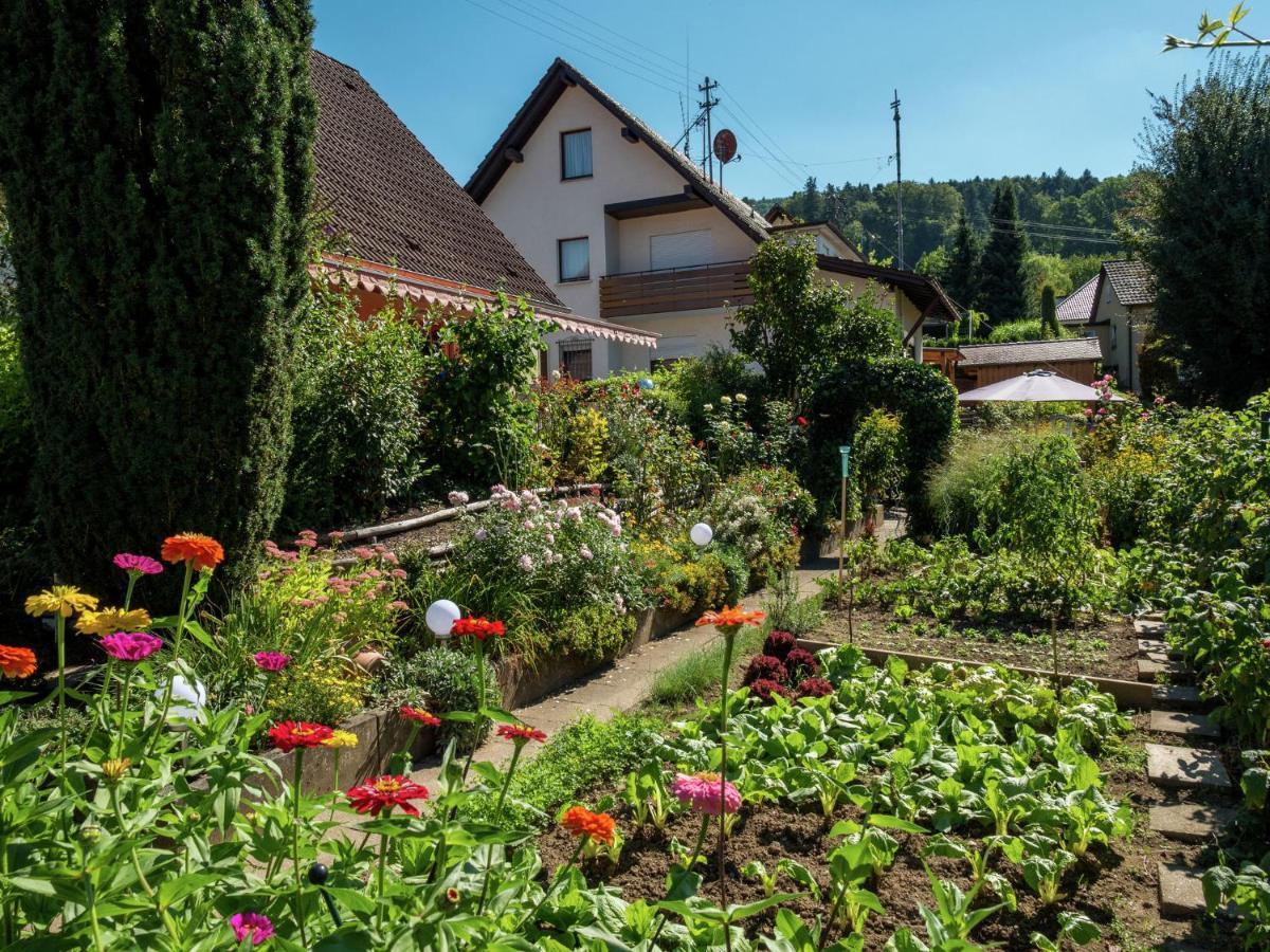 Cheerful Apartment Near City Centre Of Haslach Haslach im Kinzigtal Exterior foto